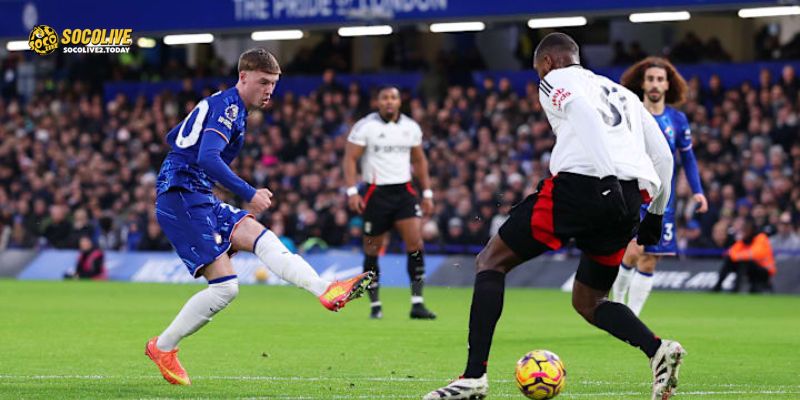 Fulham chuẩn bị cho trận đấu sân khách – HLV Silva và các học trò sẵn sàng gây bất ngờ